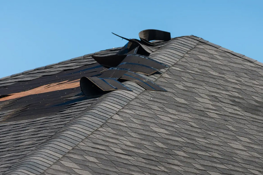 Understanding and Repairing Wind Damage: Essential Services by MBC Capital General Contractors