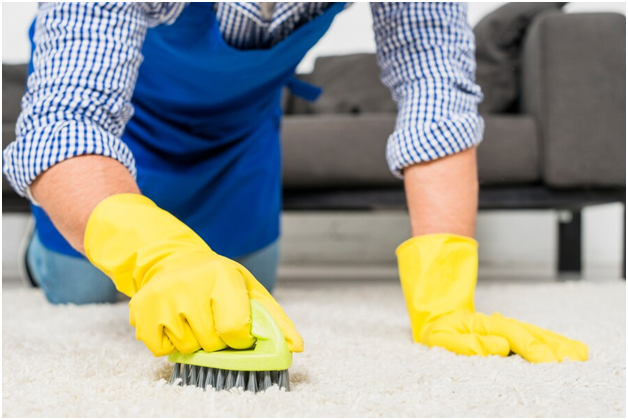 Top 5 Benefits of Professional Carpet & Upholstery Cleaning