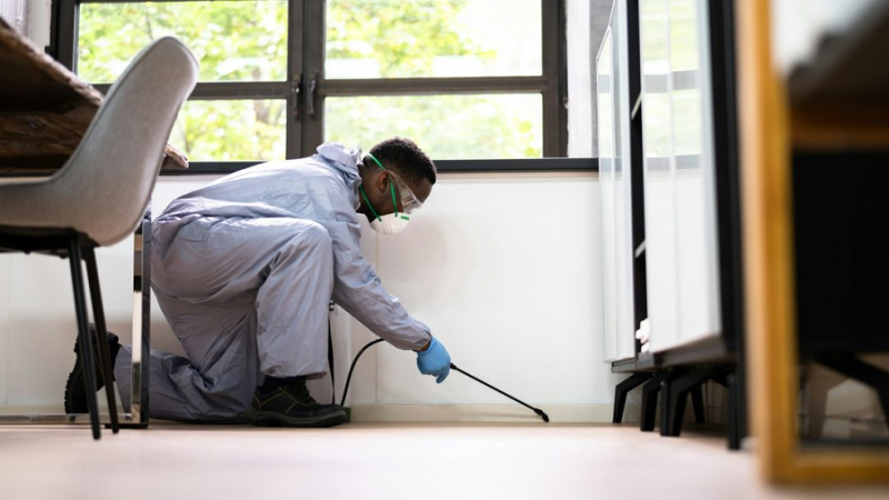 Why Pest Inspections Are Essential